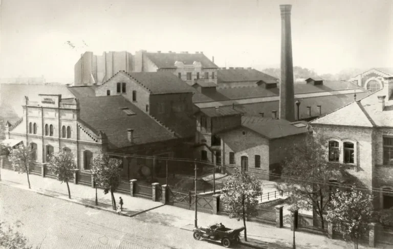 Távolabbi családok T1